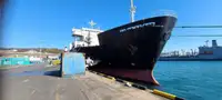 Ro-Ro ship Parduodama