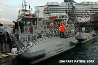 Vilktukas parduodamas