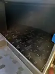 Kruizinis laivas parduodamas