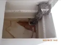 Žiedinis traleris parduodamas
