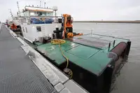 Vilktukas parduodamas