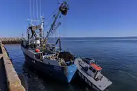 Žiedinis traleris parduodamas