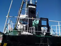Vilktukas parduodamas