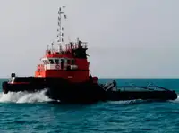 Vilkikas Parduodama