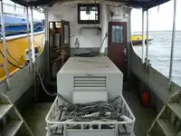 Vilktukas parduodamas