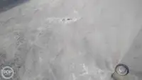 Kontainerių laivas parduodamas