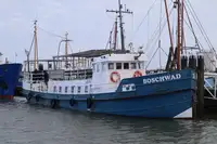 Barža Parduodama