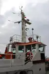 Vilktukas parduodamas