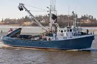 Purse seiner Parduodama