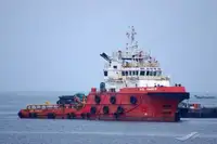Vilkikas Parduodama