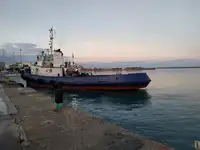 Vilktukas parduodamas