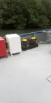 Vilktukas parduodamas
