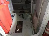 Kruizinis laivas parduodamas