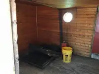 Vilktukas parduodamas