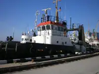 Vilktukas parduodamas