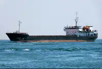 Birių krovinių laivas Parduodama
