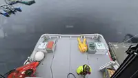 Vilktukas parduodamas