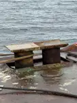 Vilktukas parduodamas
