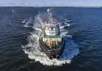 Vilktukas parduodamas