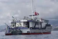 Vilktukas parduodamas