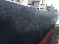 Ro-Ro ship Parduodama