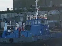 Vilkikas Parduodama