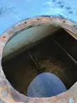 Vilktukas parduodamas