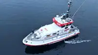 Vilktukas parduodamas