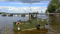 Vilktukas parduodamas