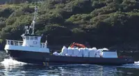 Darbiniai laivai parduodamas