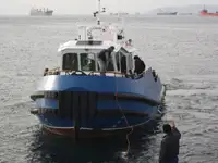 Vilktukas parduodamas