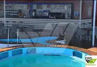 Ro-Ro ship Parduodama