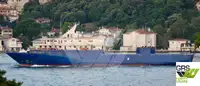 Ro-Ro ship Parduodama