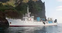 Tyrimo indas Parduodama