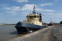 Vilkikas Parduodama