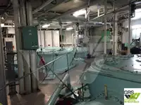 Vilktukas parduodamas