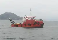 Vilktukas parduodamas