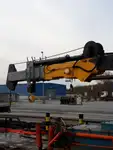 Vilktukas parduodamas