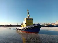 Vilktukas parduodamas