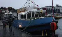 Vilktukas parduodamas