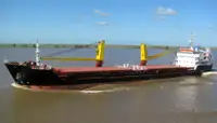 Birių krovinių laivas Parduodama