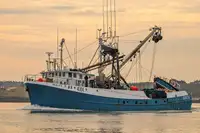 Purse seiner Parduodama