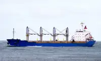 Birių krovinių laivas Parduodama