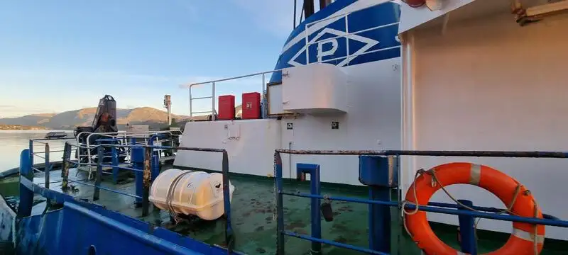 Vilktukas parduodamas