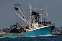 Purse seiner Parduodama