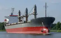 Birių krovinių laivas Parduodama