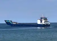 Birių krovinių laivas Parduodama