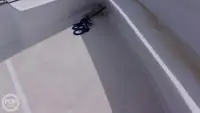 Nardymo palaikymo laivas parduodamas