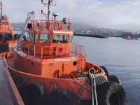 Vilktukas parduodamas