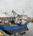 Gyvų žuvų pervežimo laivas parduodamas